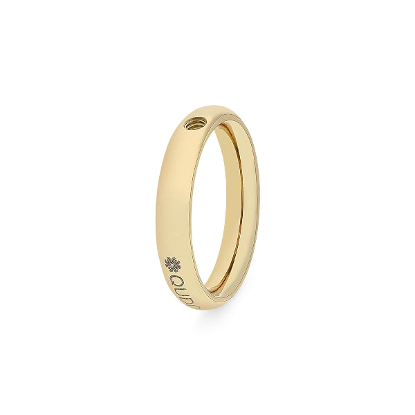 Argolla Basic Dorado