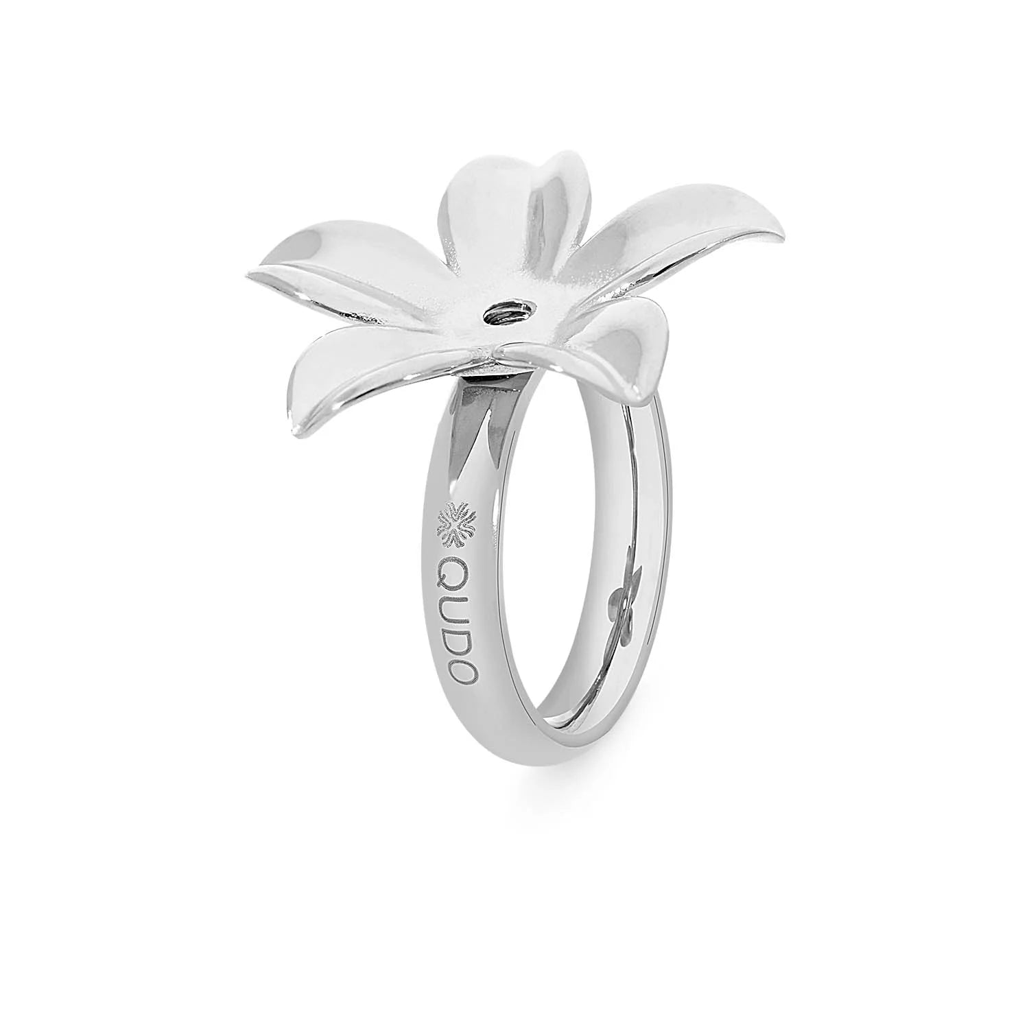 New ! Argolla PESCIA PLATA